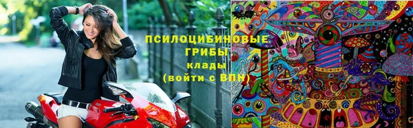 jwh Алзамай