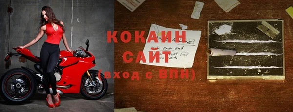 индика Ельня