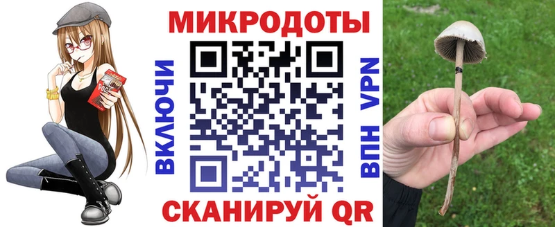 blacksprut ссылка Харовск Псилоцибиновые грибы Magic Shrooms